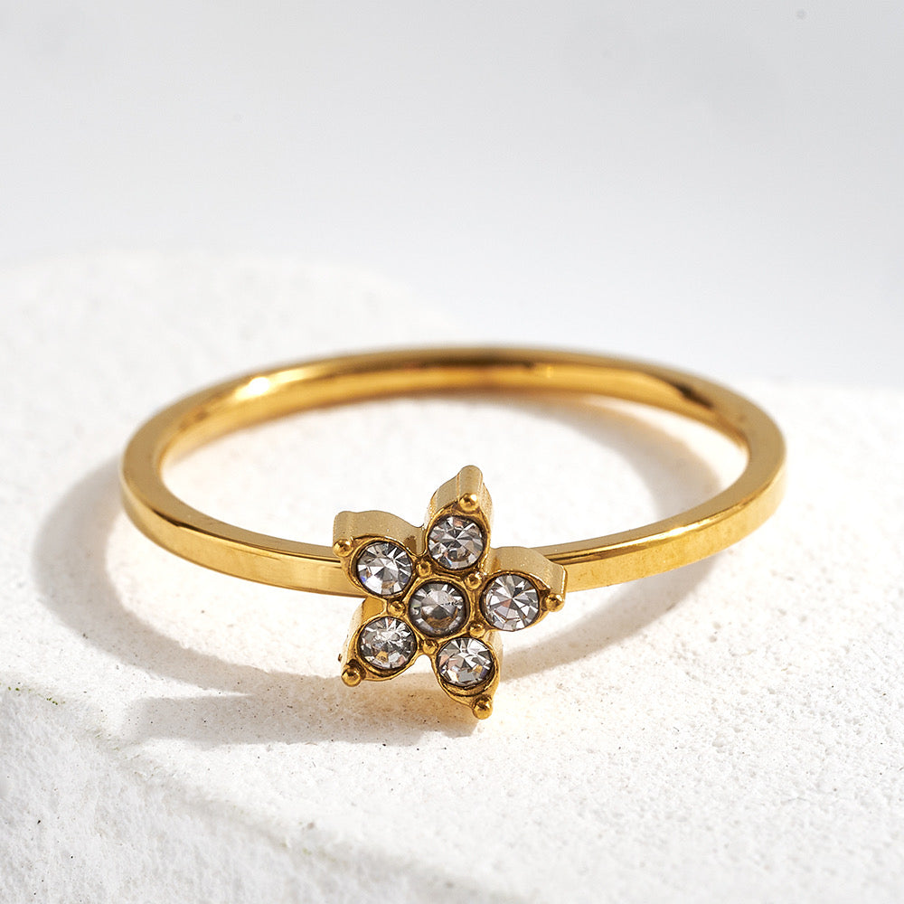 FOLLOW | Ring
